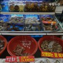 중도매인 7번 | [노량진 신선한 횟집 추천] 우정수산 노량진 우정수산, 신선한 해산물의 정석