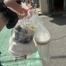 건대 세종대 그릭요거트 그릭판다에서 픽업 후 서울숲 피크닉