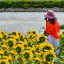 교동면 난정저수지 이미지