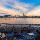 애견스케치 이미지