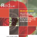 지연피부샵