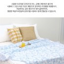 트로피컬 인견 홑이불 이미지