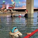 도이도이 하우스 이미지