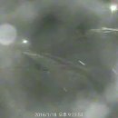 가온전기 - 창원시 의창구 도계로 13 | 가온전기