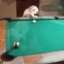 당구짱 Daum카페