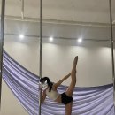 모모폴스튜디오 분당수내점 폴실크 수업후기