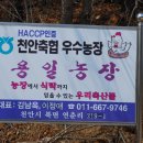 용일농장 이미지