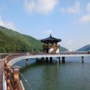 송해공원둘레길 이미지