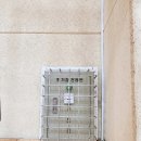 청룡초등학교 이미지