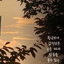 겔러리 이미지