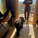 축동농협 | [삼척] 향초목원 신축동 별이 너무 예뻤던 리틀 포레스트, 포레스트 미니 후기