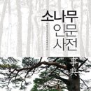 소나무기획 이미지