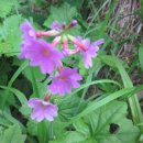 둘레목장 이미지