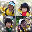 금평목장 Daum카페