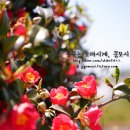 사랑채 밥상 이미지