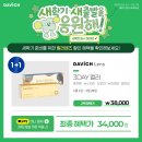 평화안경 이미지