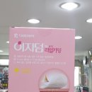 리얼리얼리