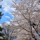 학운축산 네이버블로그
