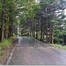 경기둘레길 가평25코스 이미지