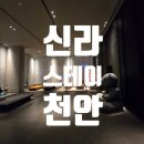 신라세탁 | 천안여행) 숙소리뷰 천안호텔, 신라스테이 스탠다드더블 / 조식 내돈내산 솔직후기