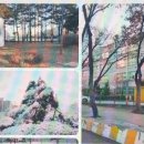 서울상수초등학교 이미지