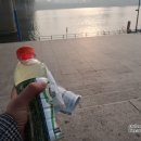 뚝섬한강공원-65 이미지