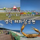 영덕여행 산책하며 힐링하기 좋은 바다조망의 해파랑공원