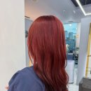 루덴헤어 - 강남구 | 루덴헤어