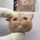 스튜디오솝 이미지