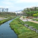 중랑천 이미지