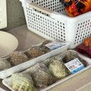 원북농협 하나로마트 이미지