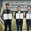 리오&코 이미지