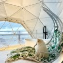 펫코스(Pet-cose) | 애견동반글램핑 펫글램핑, 벌써 설 연휴 예약이 거의 다 찼습니다...!