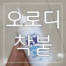 오로디 | [오로디] 줄눈에 바르고, 말리면 끝! 오로디 착붙 후기💙 타일줄눈/ 착붙/ 줄눈보수