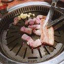 정육당고기