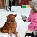 정다운동물병원 이미지