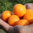 기주유통