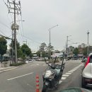 정화네 동태국 네이버블로그