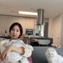 두쓰리집 이미지