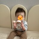 24년 2월 1주