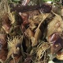 김재연농장 이미지