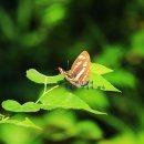 힐링건강랜드 이미지