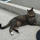 영주리치관광호텔 이미지