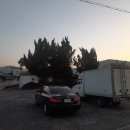 광명여인숙 이미지