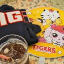 투타베이스볼 | 250629 기아타이거즈 vs LG트윈스 직관후기 / 이게 야구지 / 장외응원까지 야무지게 완료(325블록)