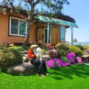 곡성 기차마을 애견동반펜션 이미지