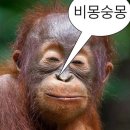 귀빈노래방 | 아..먹기 딱 좋은 날씨다..