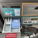 베어 워시(Bear Wash) | 치앙마이 빨래 고민이시라면 님만해민 Bear wash and dry 코인 빨래방 추천