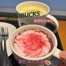 사랑이 담긴 화이트데이 쿠키 만들기 | 스타벅스 핑크 발렌타인데이 초콜릿 프로모션은? 신메뉴 추천! 붉은 로즈 초콜릿 가격, 후기