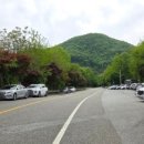 연미산고개 화장실 이미지